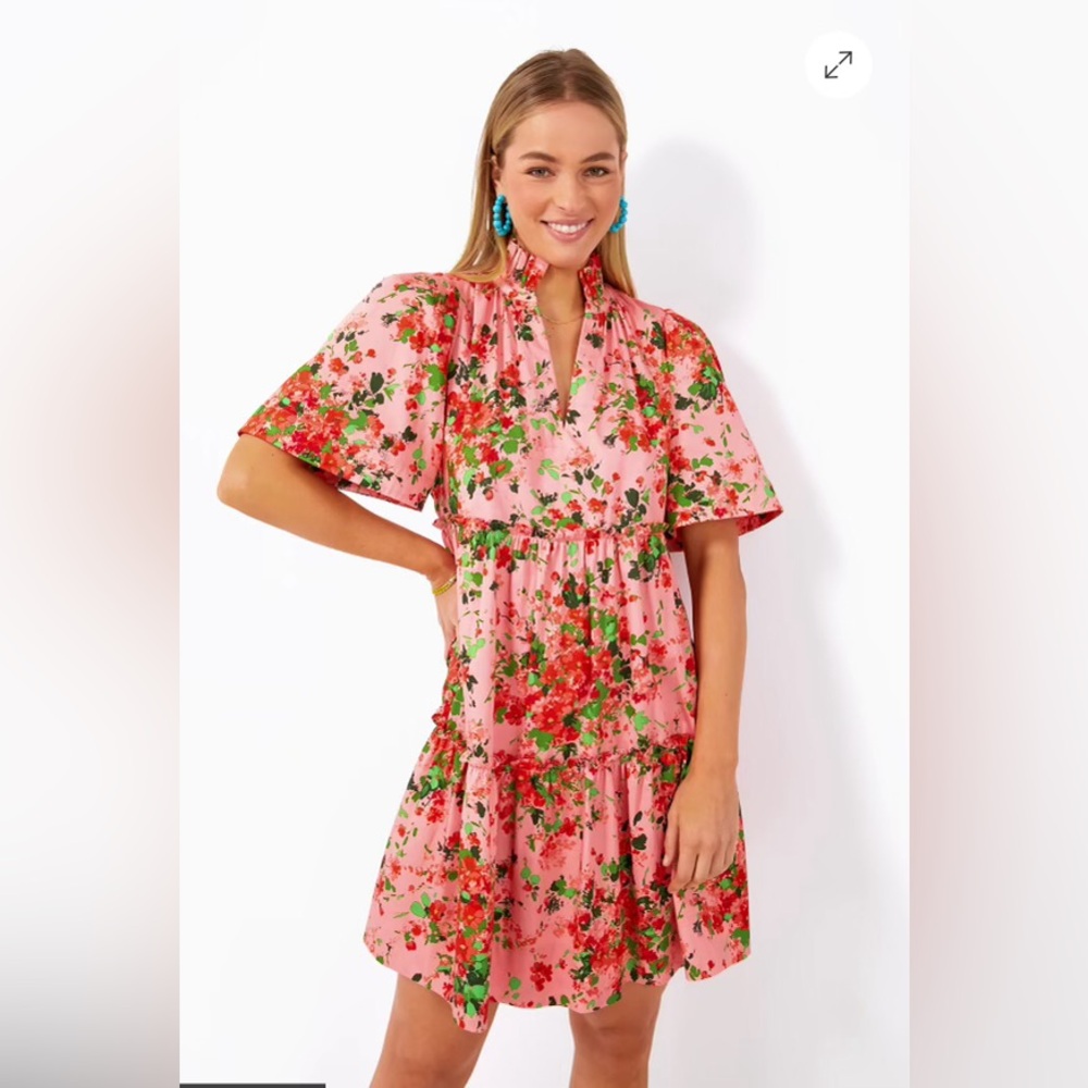 Tuckernuck mini dress
